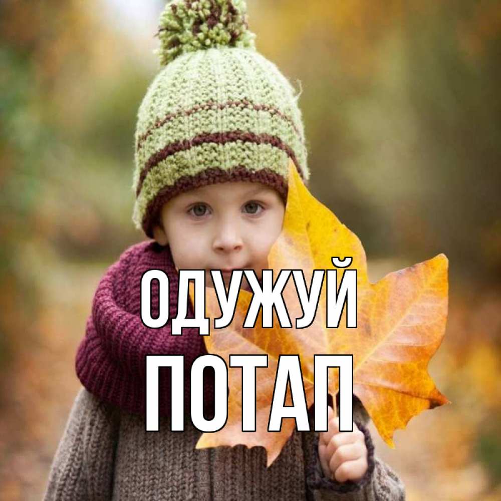 Открытка на каждый день з підписом, Потап Одужуй дышим свежим воздухом Прикольна листівка з побажанням онлайн скачати безкоштовно 
