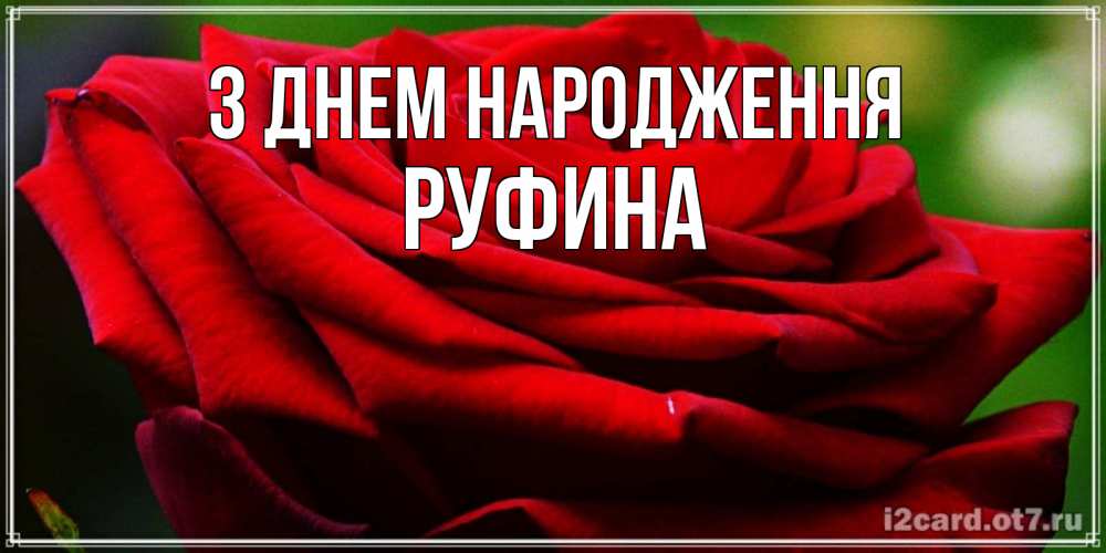 Открытка на каждый день з підписом, Руфина З Днем народження розочка очень красивая Прикольна листівка з побажанням онлайн скачати безкоштовно 