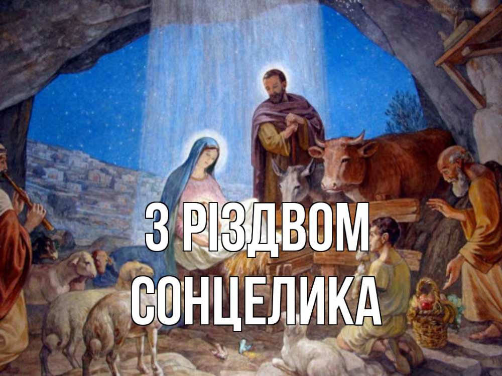 Открытка на каждый день з підписом, Сонцелика З Різдвом Хлев с животными, Иисус, рождество Прикольна листівка з побажанням онлайн скачати безкоштовно 