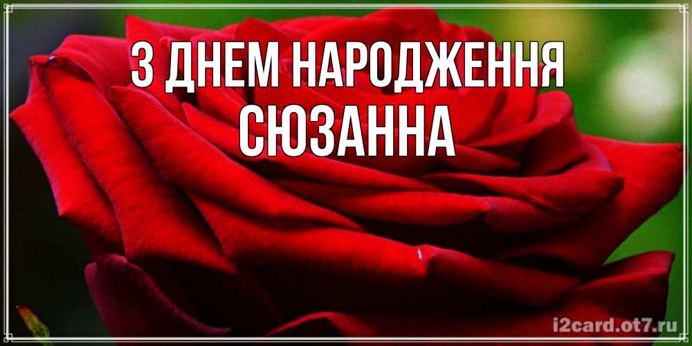 Открытка на каждый день з підписом, Сюзанна З Днем народження розочка очень красивая Прикольна листівка з побажанням онлайн скачати безкоштовно 