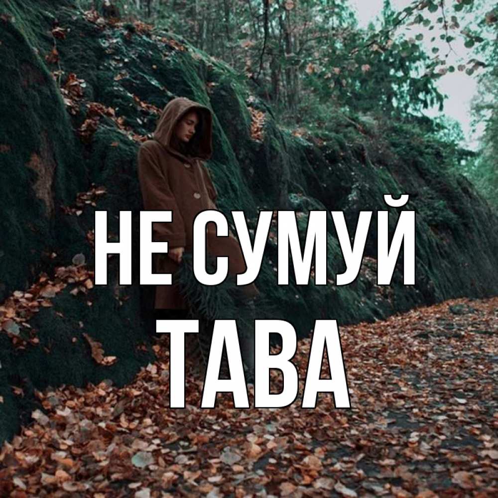 Открытка на каждый день з підписом, Тава Не сумуй осенний лес Прикольна листівка з побажанням онлайн скачати безкоштовно 