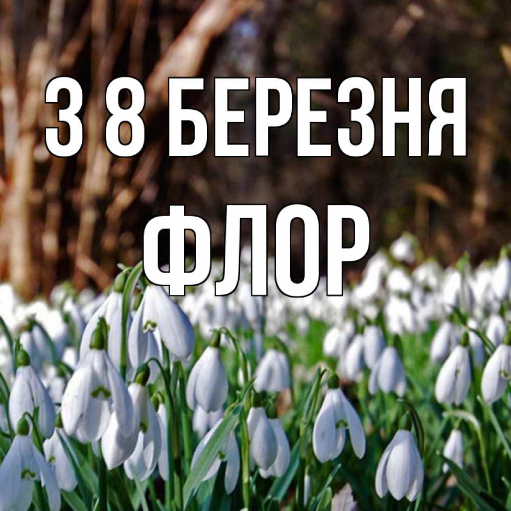 Открытка на каждый день з підписом, Флор З 8 БЕРЕЗНЯ с подснежниками 1 Прикольна листівка з побажанням онлайн скачати безкоштовно 