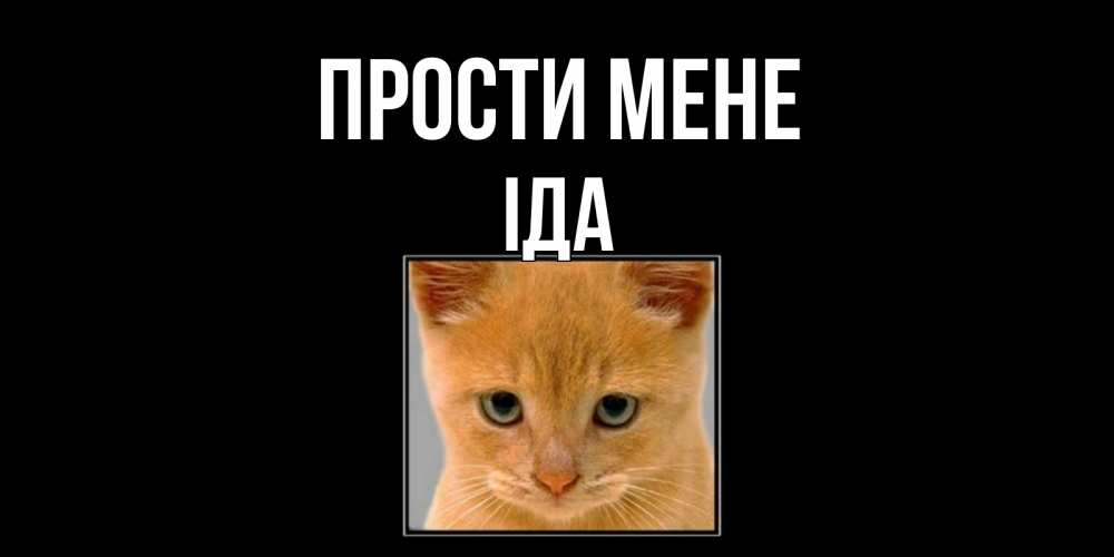 Открытка на каждый день з підписом, Іда Прости мене рыжий грустный кот просит прощения Прикольна листівка з побажанням онлайн скачати безкоштовно 