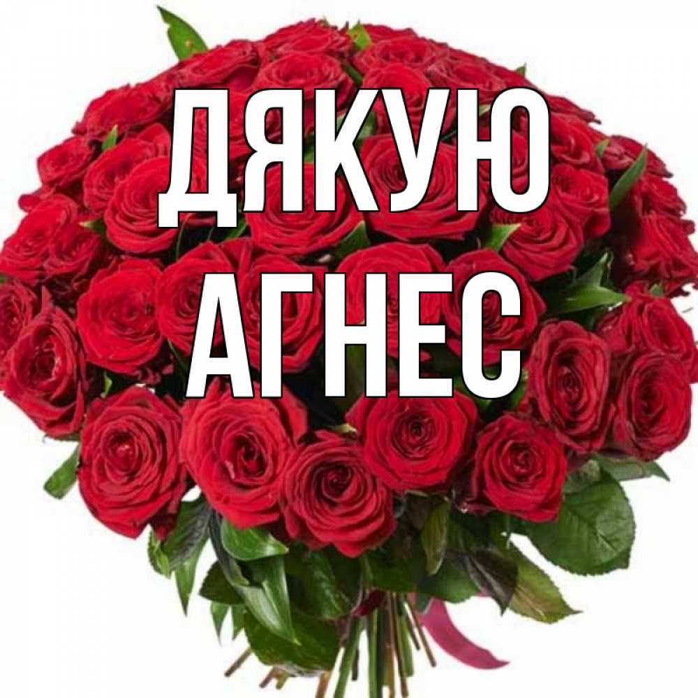 Открытка на каждый день з підписом, Агнес Дякую букет красных роз Прикольна листівка з побажанням онлайн скачати безкоштовно 