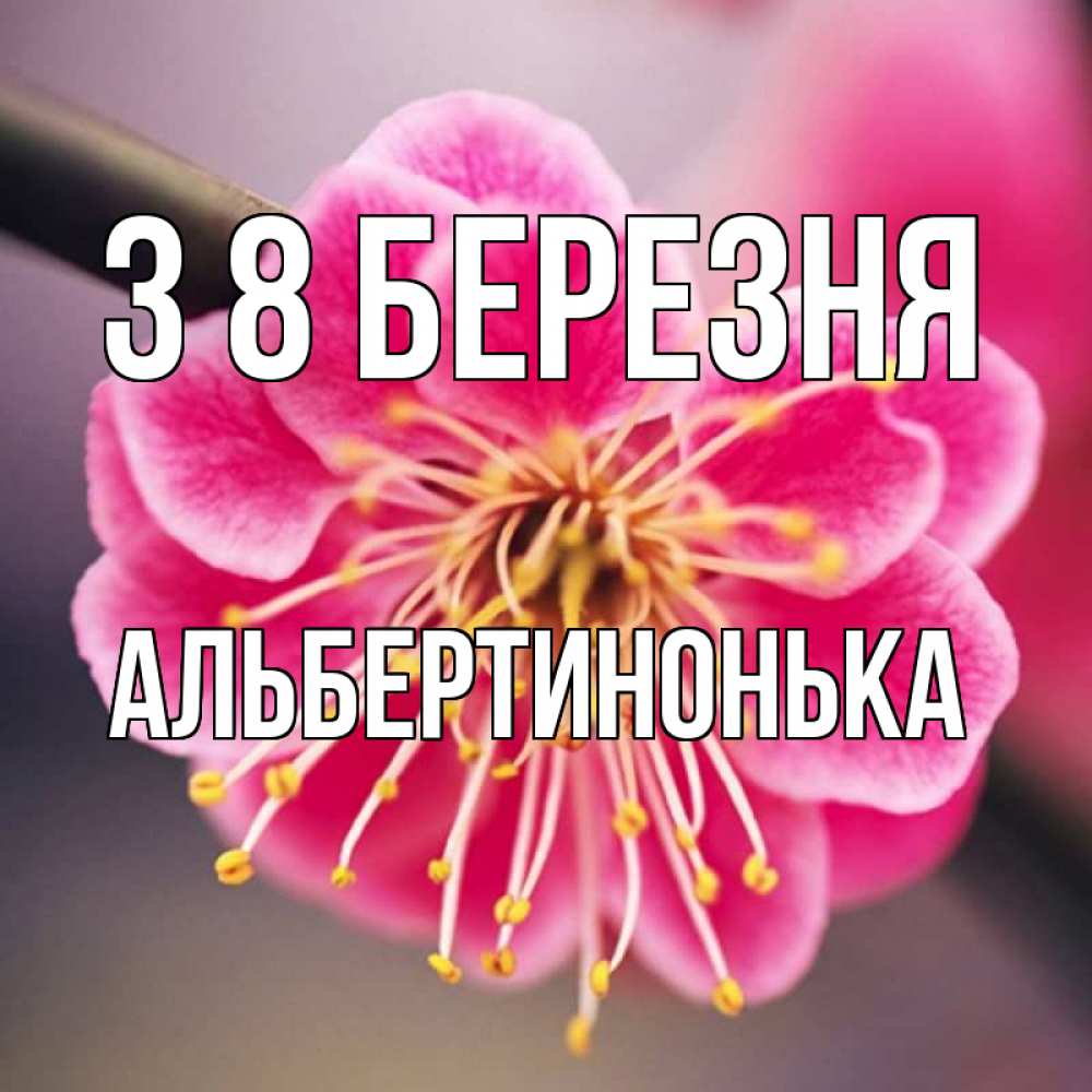 Открытка на каждый день з підписом, Альбертинонька З 8 БЕРЕЗНЯ цветы Прикольна листівка з побажанням онлайн скачати безкоштовно 
