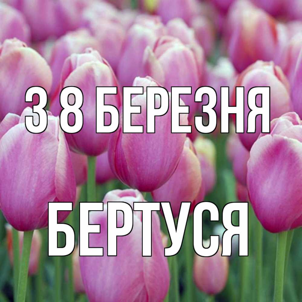 Открытка на каждый день з підписом, Бертуся З 8 БЕРЕЗНЯ на международный женский день 3 Прикольна листівка з побажанням онлайн скачати безкоштовно 