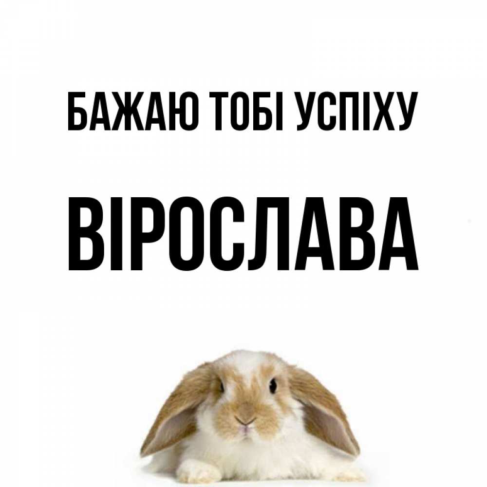 Открытка на каждый день з підписом, Вірослава Бажаю тобі успіху открытки с произвольным текстом который можно вставить в открытку и создать ее самостоятельно бесплатно онлайн Прикольна листівка з побажанням онлайн скачати безкоштовно 