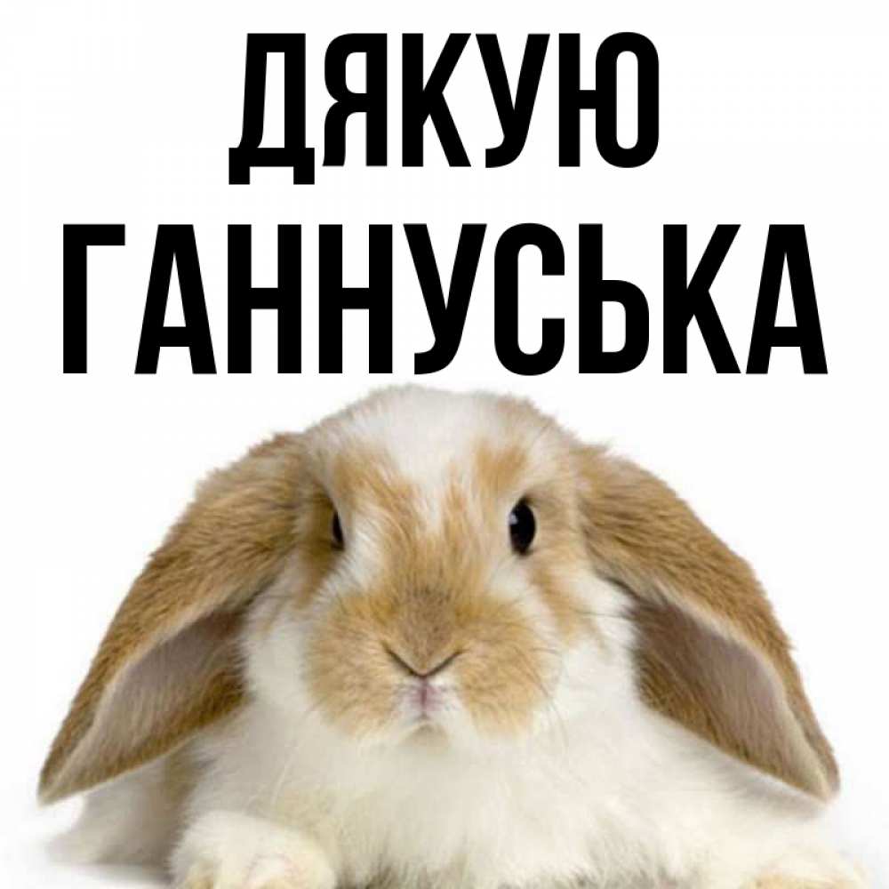 Открытка на каждый день з підписом, Ганнуська Дякую коричнево белый заяц Прикольна листівка з побажанням онлайн скачати безкоштовно 