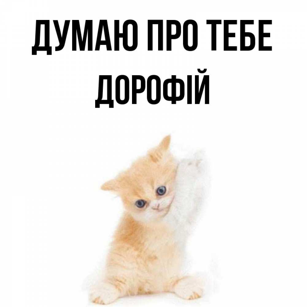 Открытка на каждый день з підписом, Дорофій Думаю про тебе зверушки и милота Прикольна листівка з побажанням онлайн скачати безкоштовно 