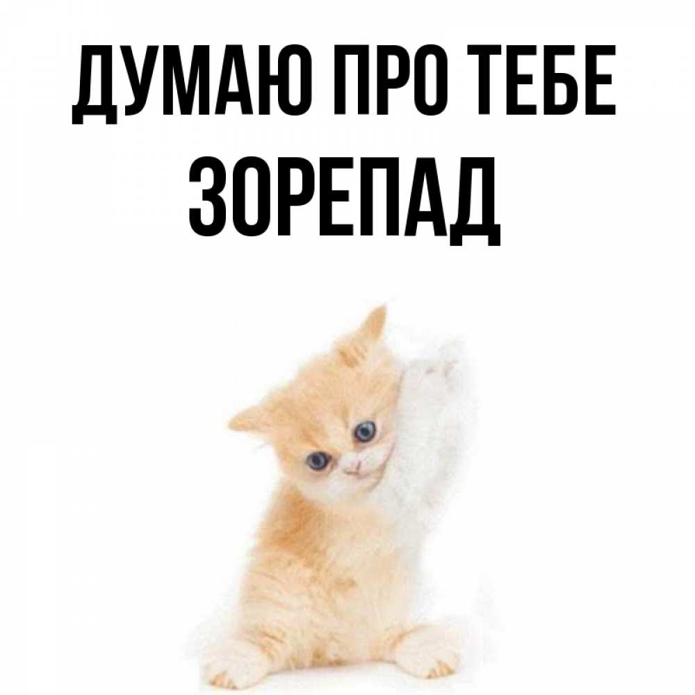 Открытка на каждый день з підписом, Зорепад Думаю про тебе зверушки и милота Прикольна листівка з побажанням онлайн скачати безкоштовно 