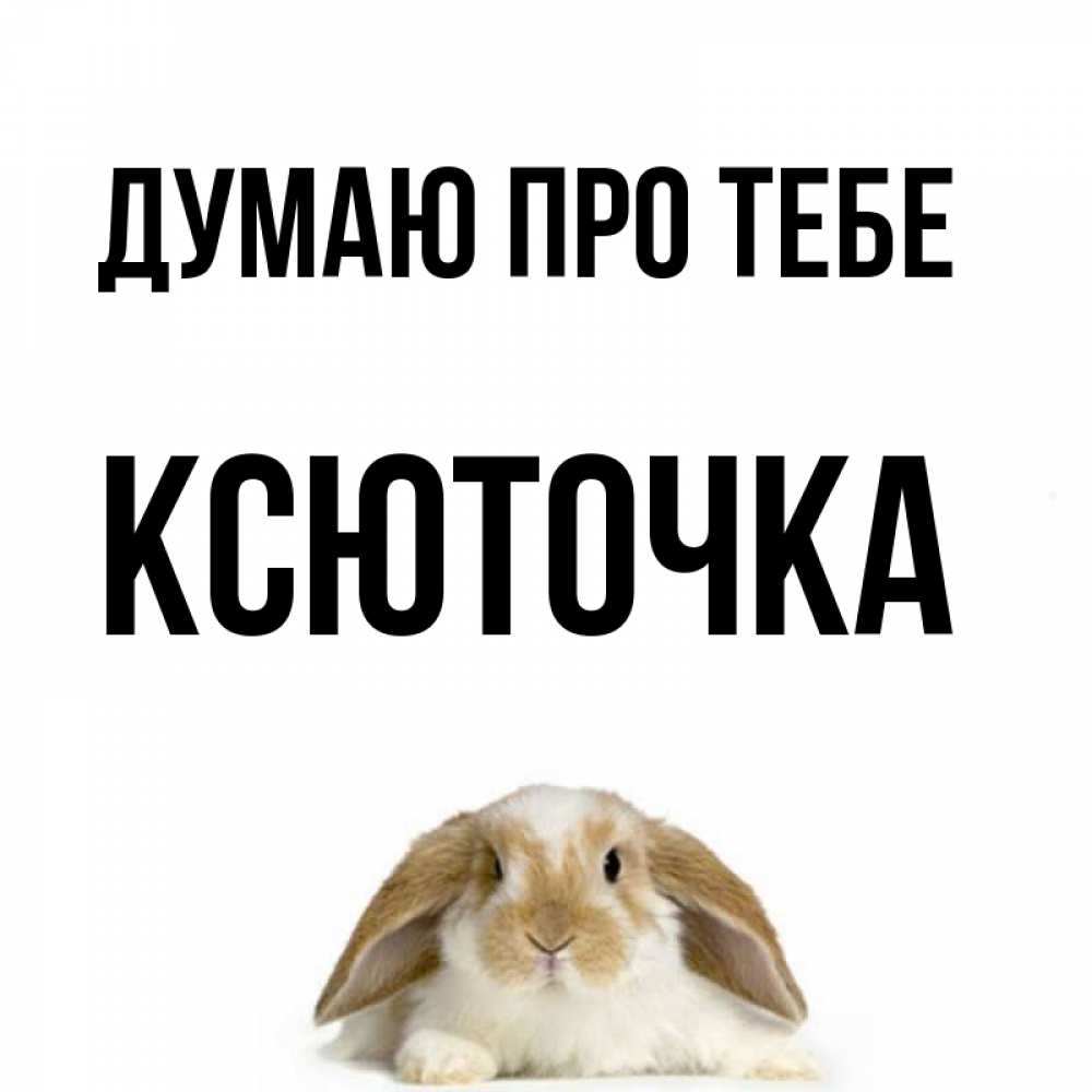 Открытка на каждый день з підписом, Ксюточка Думаю про тебе подписать своими руками онлайн Прикольна листівка з побажанням онлайн скачати безкоштовно 