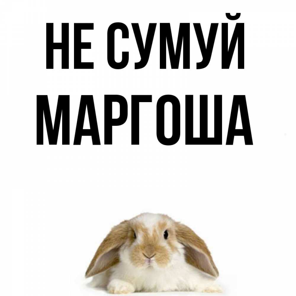 Открытка на каждый день з підписом, Маргоша Не сумуй коричнево белый заяц с большими ушками Прикольна листівка з побажанням онлайн скачати безкоштовно 