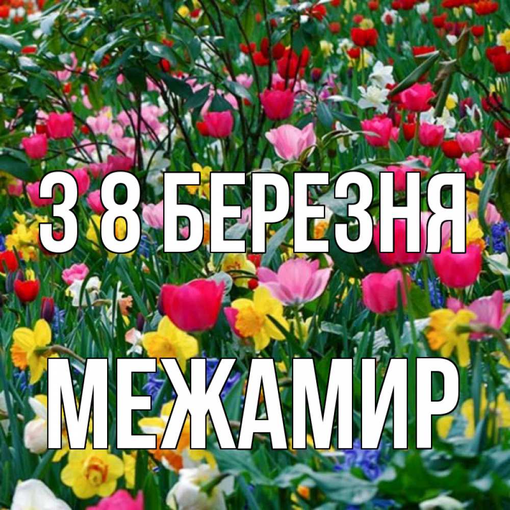 Открытка на каждый день з підписом, Межамир З 8 БЕРЕЗНЯ с международным женским днем поздравления для женщины Прикольна листівка з побажанням онлайн скачати безкоштовно 