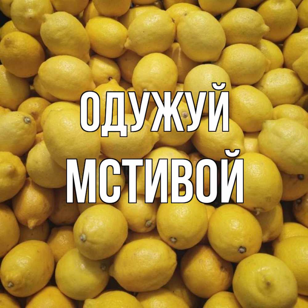 Открытка на каждый день з підписом, Мстивой Одужуй это точно поможет Прикольна листівка з побажанням онлайн скачати безкоштовно 