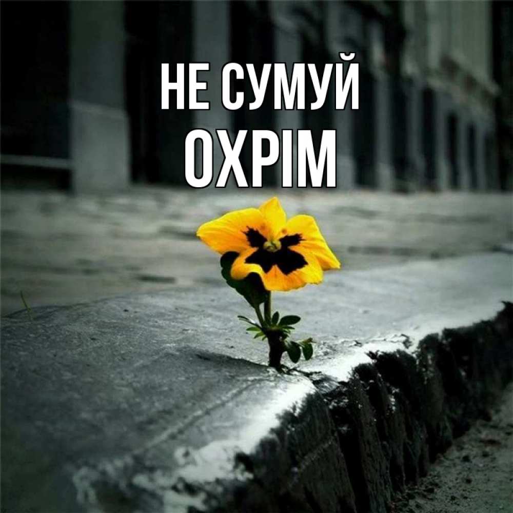 Открытка на каждый день з підписом, Охрім Не сумуй не сдавайся Прикольна листівка з побажанням онлайн скачати безкоштовно 