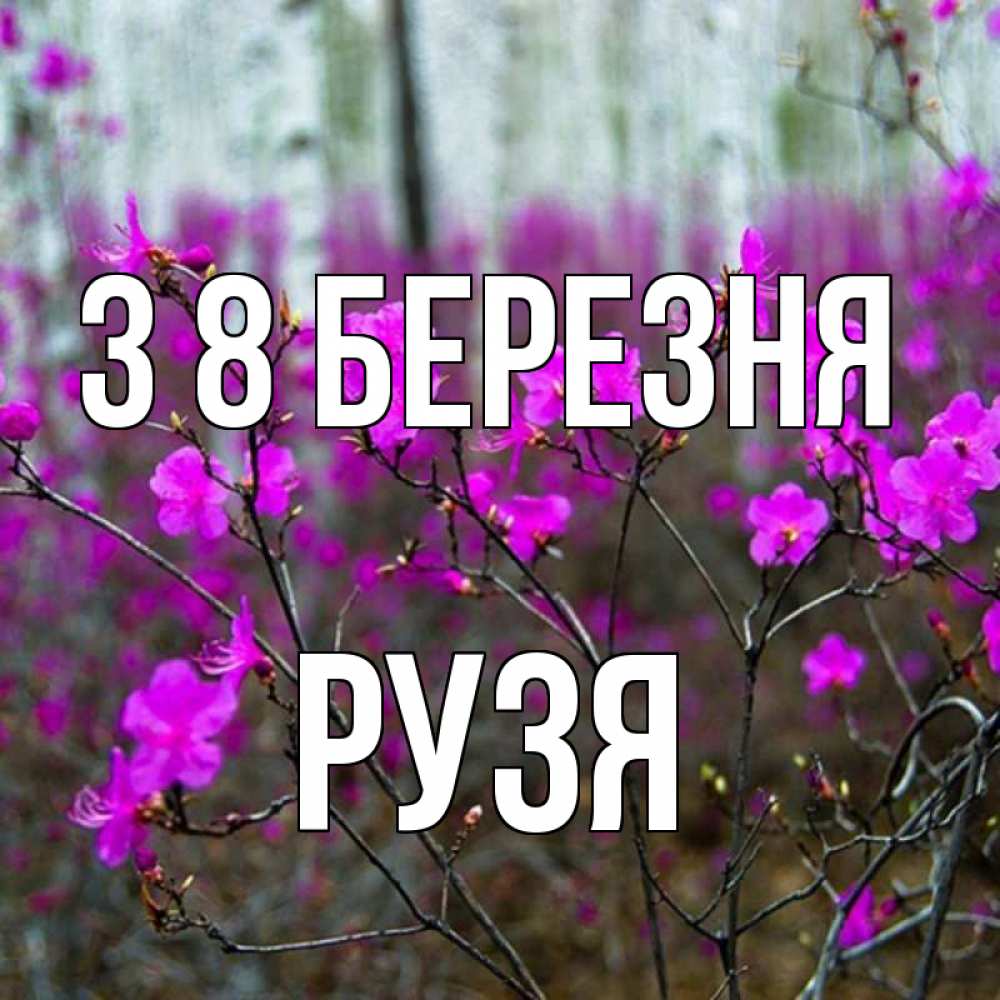 Открытка на каждый день з підписом, Рузя З 8 БЕРЕЗНЯ дикие цветы Прикольна листівка з побажанням онлайн скачати безкоштовно 