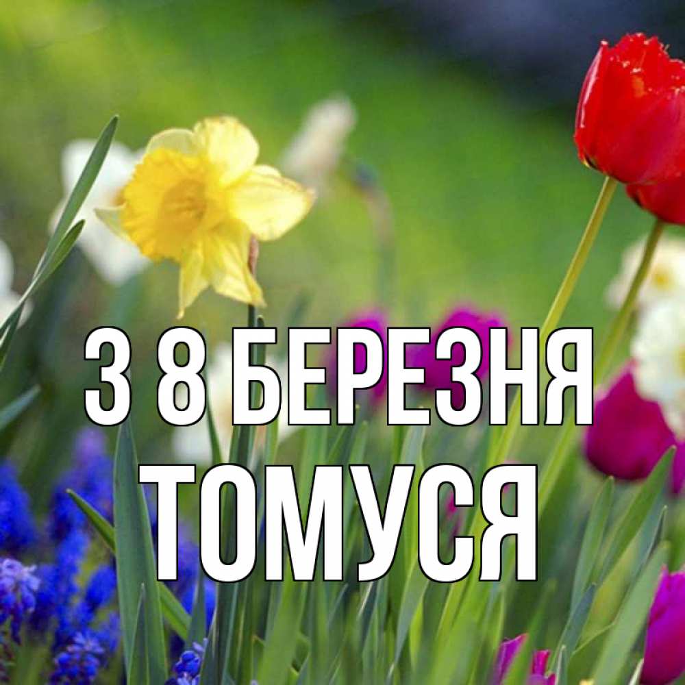 Открытка на каждый день з підписом, Томуся З 8 БЕРЕЗНЯ международный женский день 3 Прикольна листівка з побажанням онлайн скачати безкоштовно 