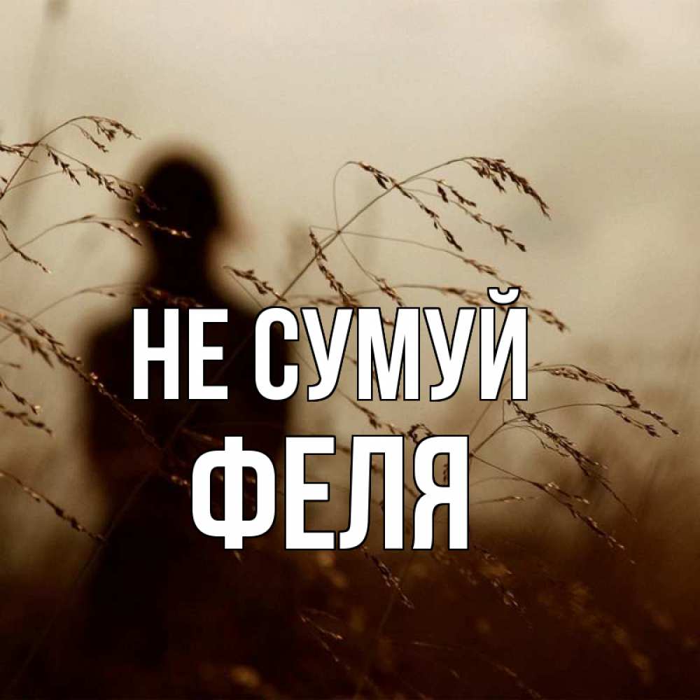Открытка на каждый день з підписом, Феля Не сумуй грусть Прикольна листівка з побажанням онлайн скачати безкоштовно 
