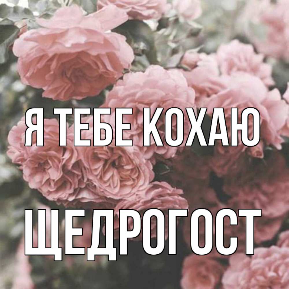 Открытка на каждый день з підписом, Щедрогост Я тебе кохаю розы 3 Прикольна листівка з побажанням онлайн скачати безкоштовно 