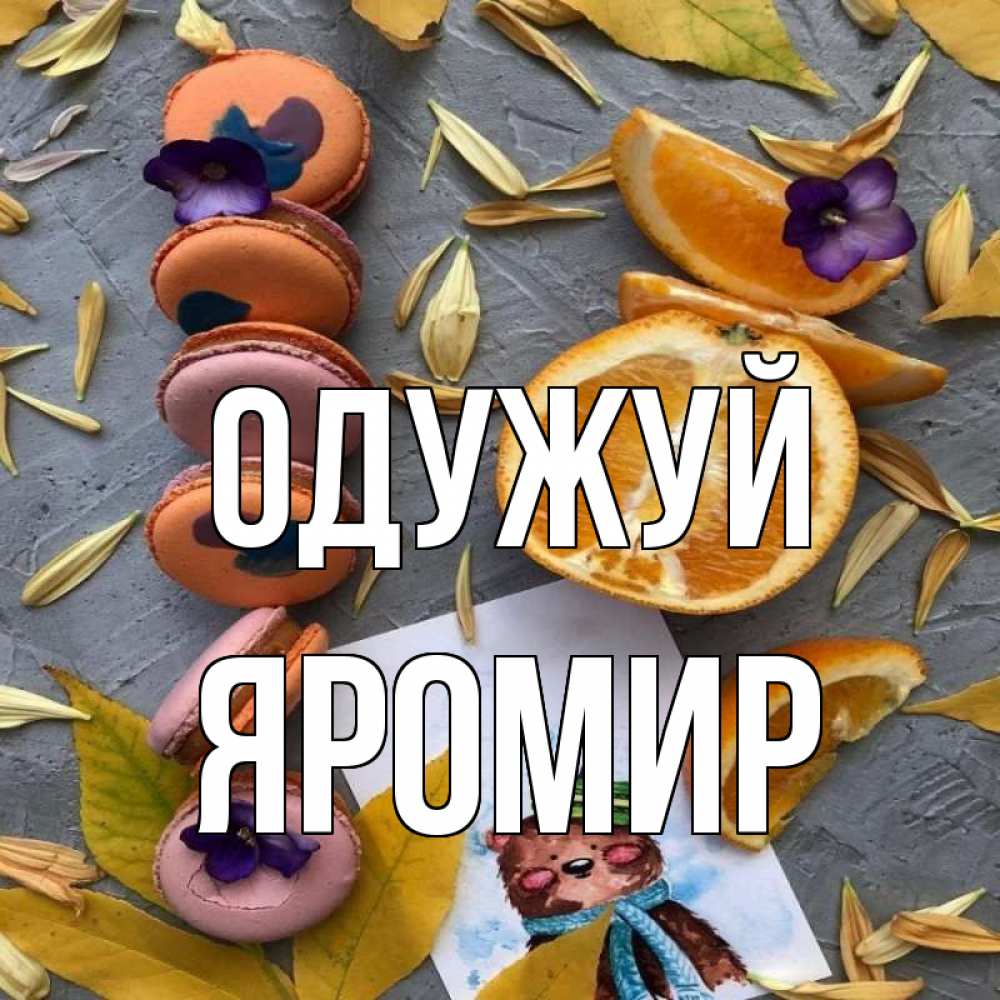 Открытка на каждый день з підписом, Яромир Одужуй не болейте Прикольна листівка з побажанням онлайн скачати безкоштовно 