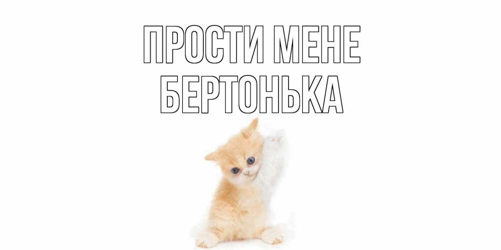 Открытка на каждый день з підписом, Бертонька Прости мене кот Прикольна листівка з побажанням онлайн скачати безкоштовно 