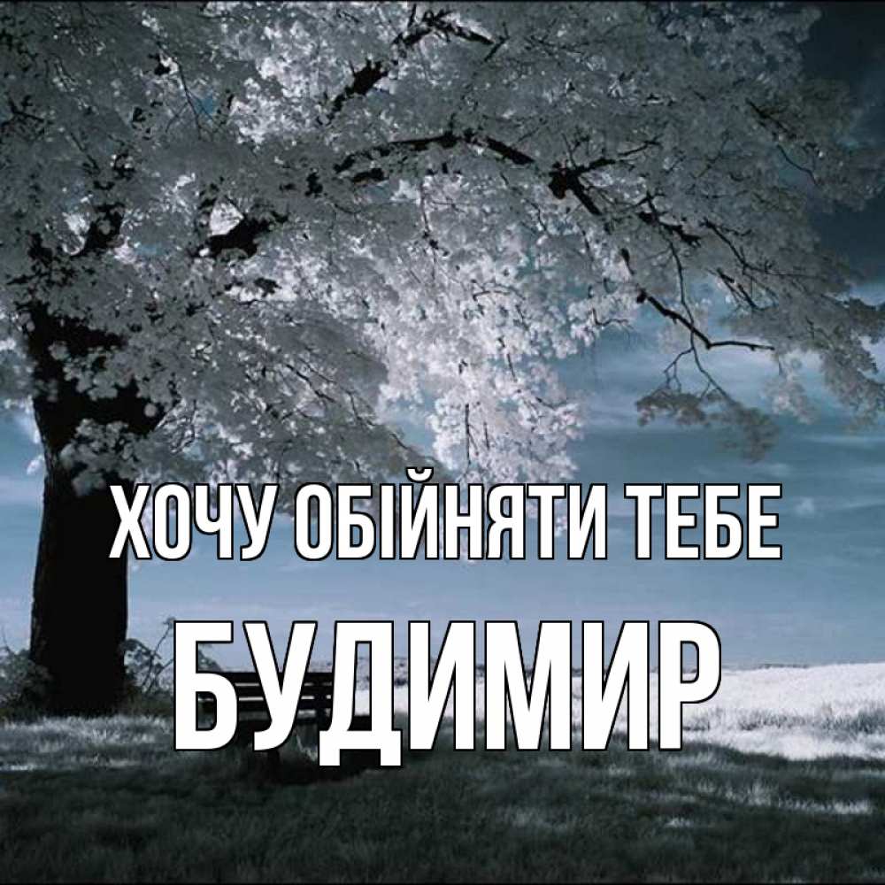 Открытка на каждый день з підписом, Будимир Хочу обійняти тебе дерево Прикольна листівка з побажанням онлайн скачати безкоштовно 
