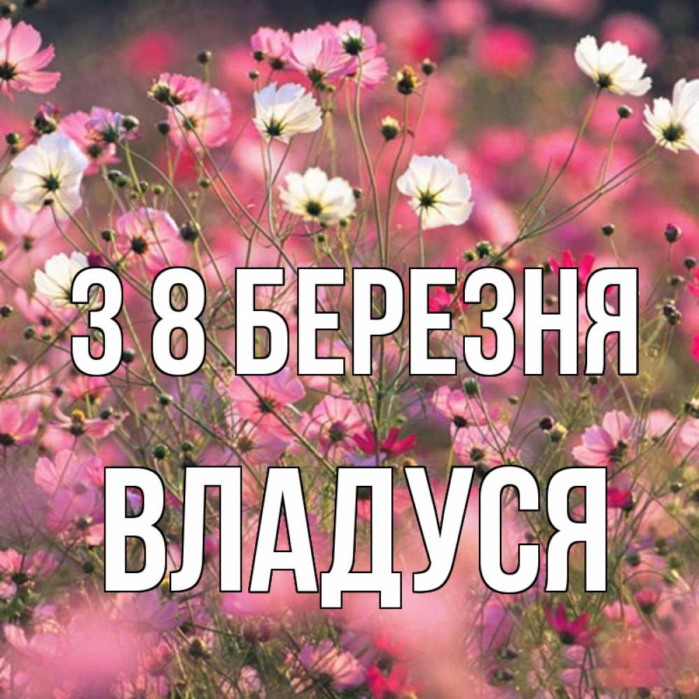 Открытка на каждый день з підписом, Владуся З 8 БЕРЕЗНЯ красиво 1 Прикольна листівка з побажанням онлайн скачати безкоштовно 