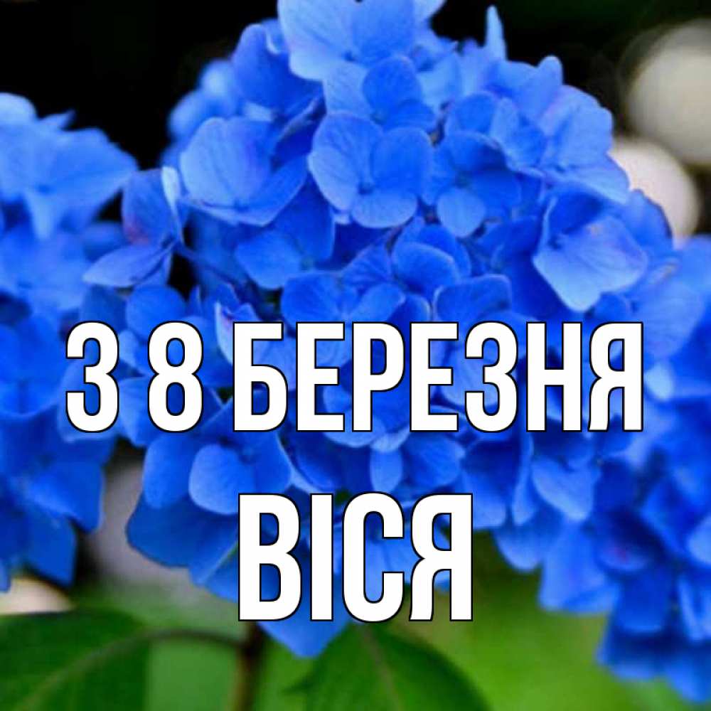 Открытка на каждый день з підписом, Віся З 8 БЕРЕЗНЯ синие цветы Прикольна листівка з побажанням онлайн скачати безкоштовно 