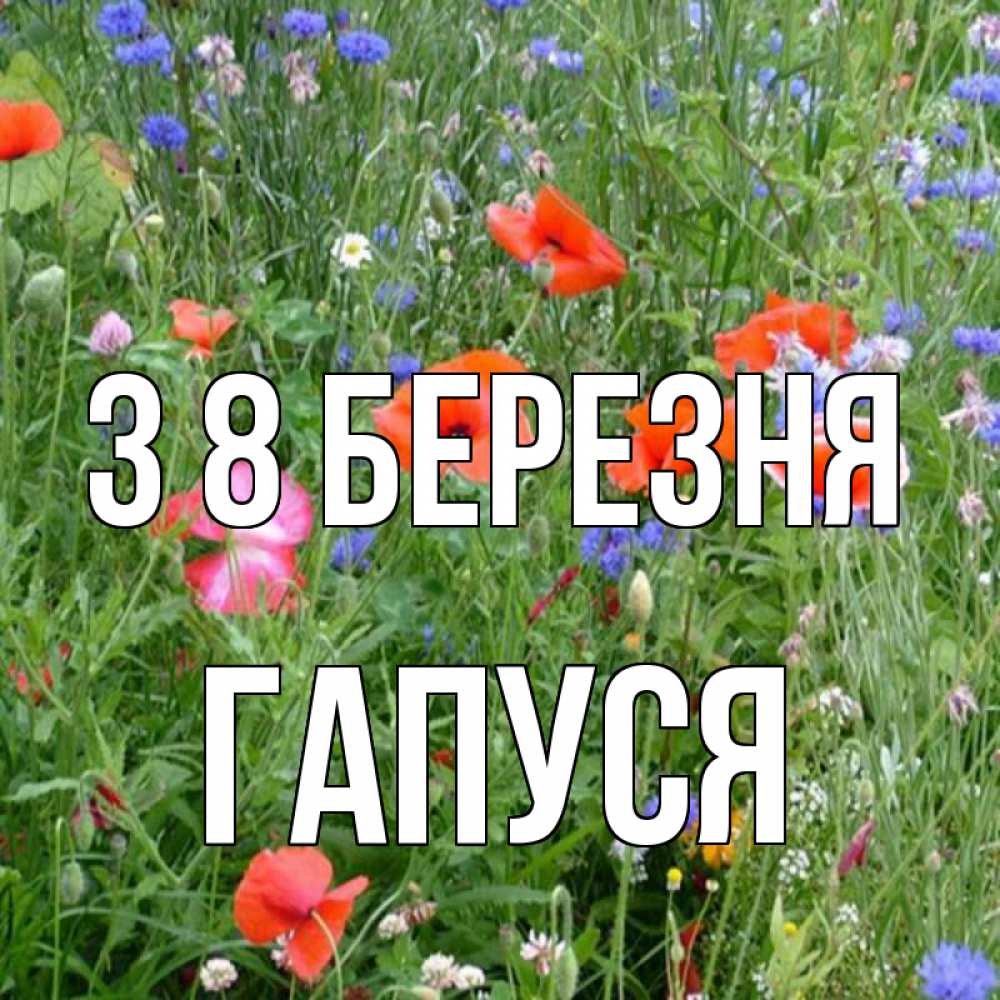 Открытка на каждый день з підписом, Гапуся З 8 БЕРЕЗНЯ международный женский день 4 Прикольна листівка з побажанням онлайн скачати безкоштовно 