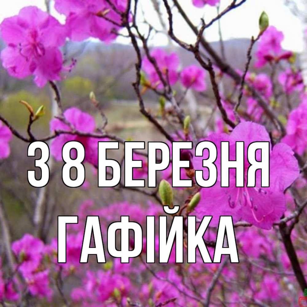 Открытка на каждый день з підписом, Гафійка З 8 БЕРЕЗНЯ международный женский день Прикольна листівка з побажанням онлайн скачати безкоштовно 