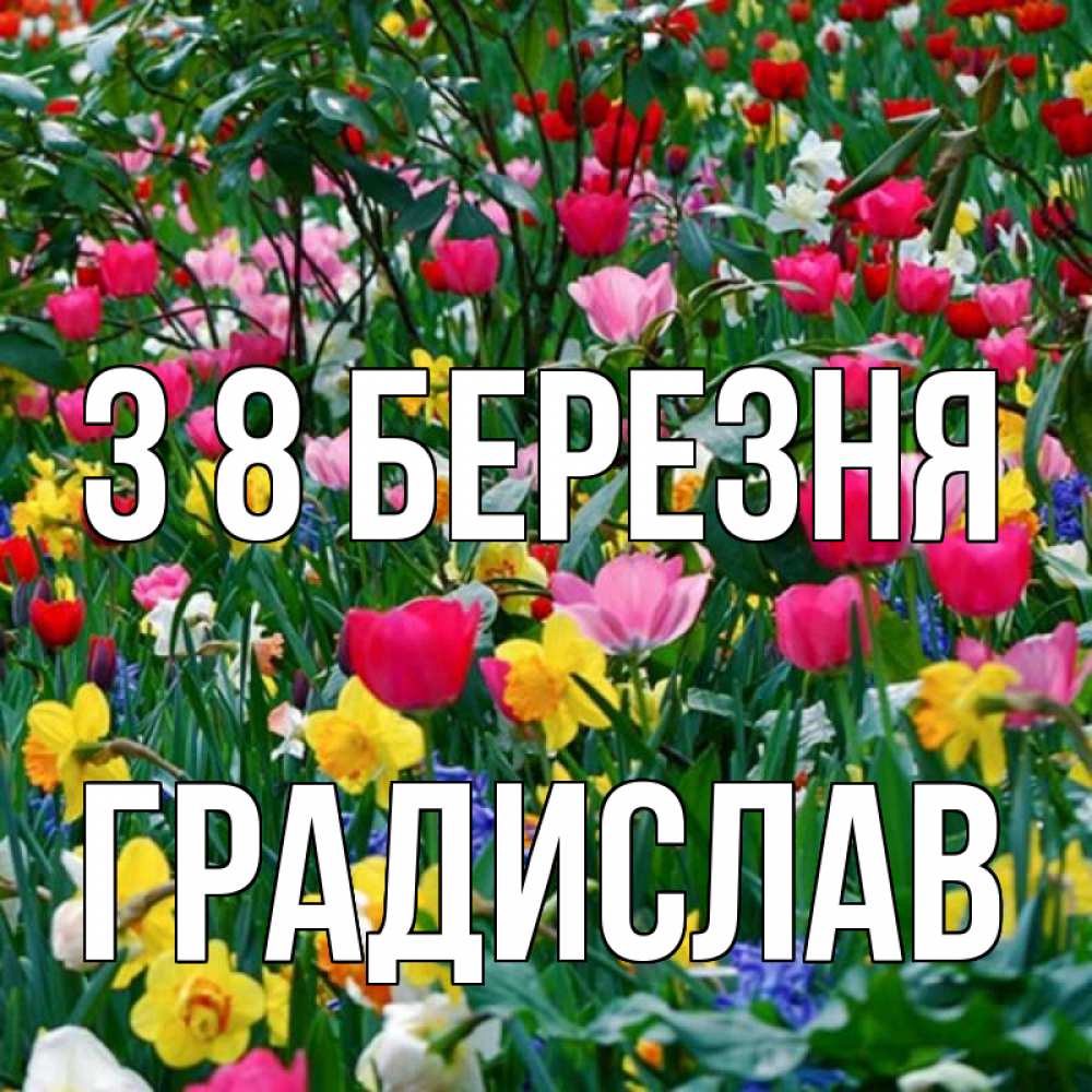 Открытка на каждый день з підписом, Градислав З 8 БЕРЕЗНЯ с международным женским днем поздравления для женщины Прикольна листівка з побажанням онлайн скачати безкоштовно 