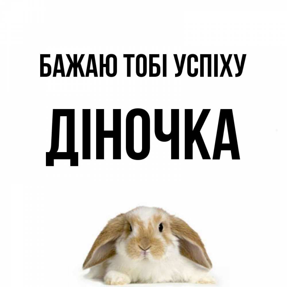 Открытка на каждый день з підписом, Діночка Бажаю тобі успіху открытки с произвольным текстом который можно вставить в открытку и создать ее самостоятельно бесплатно онлайн Прикольна листівка з побажанням онлайн скачати безкоштовно 