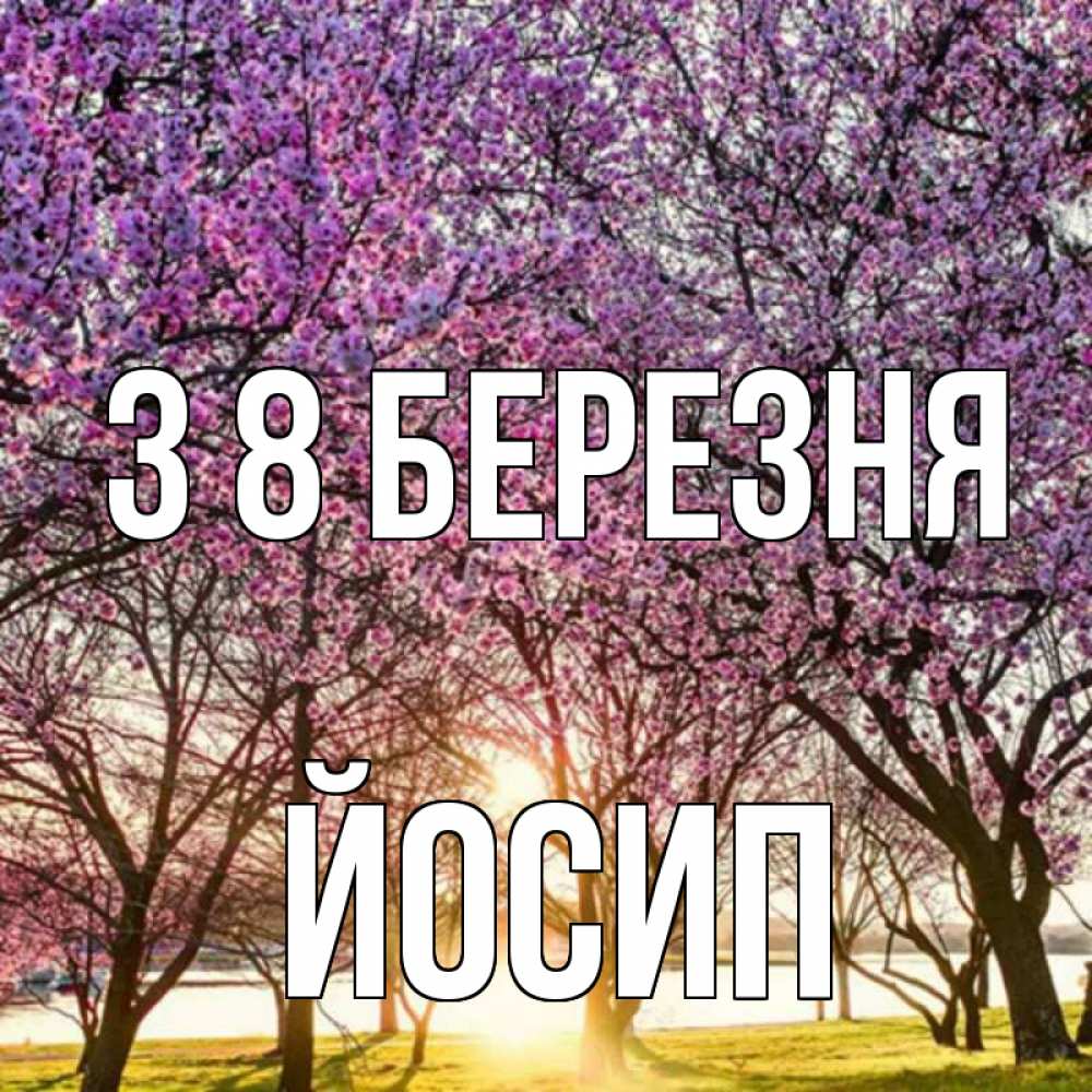 Открытка на каждый день з підписом, Йосип З 8 БЕРЕЗНЯ международный женский день Прикольна листівка з побажанням онлайн скачати безкоштовно 