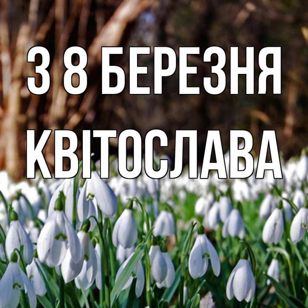 Открытка на каждый день з підписом, Квітослава З 8 БЕРЕЗНЯ с подснежниками 1 Прикольна листівка з побажанням онлайн скачати безкоштовно 