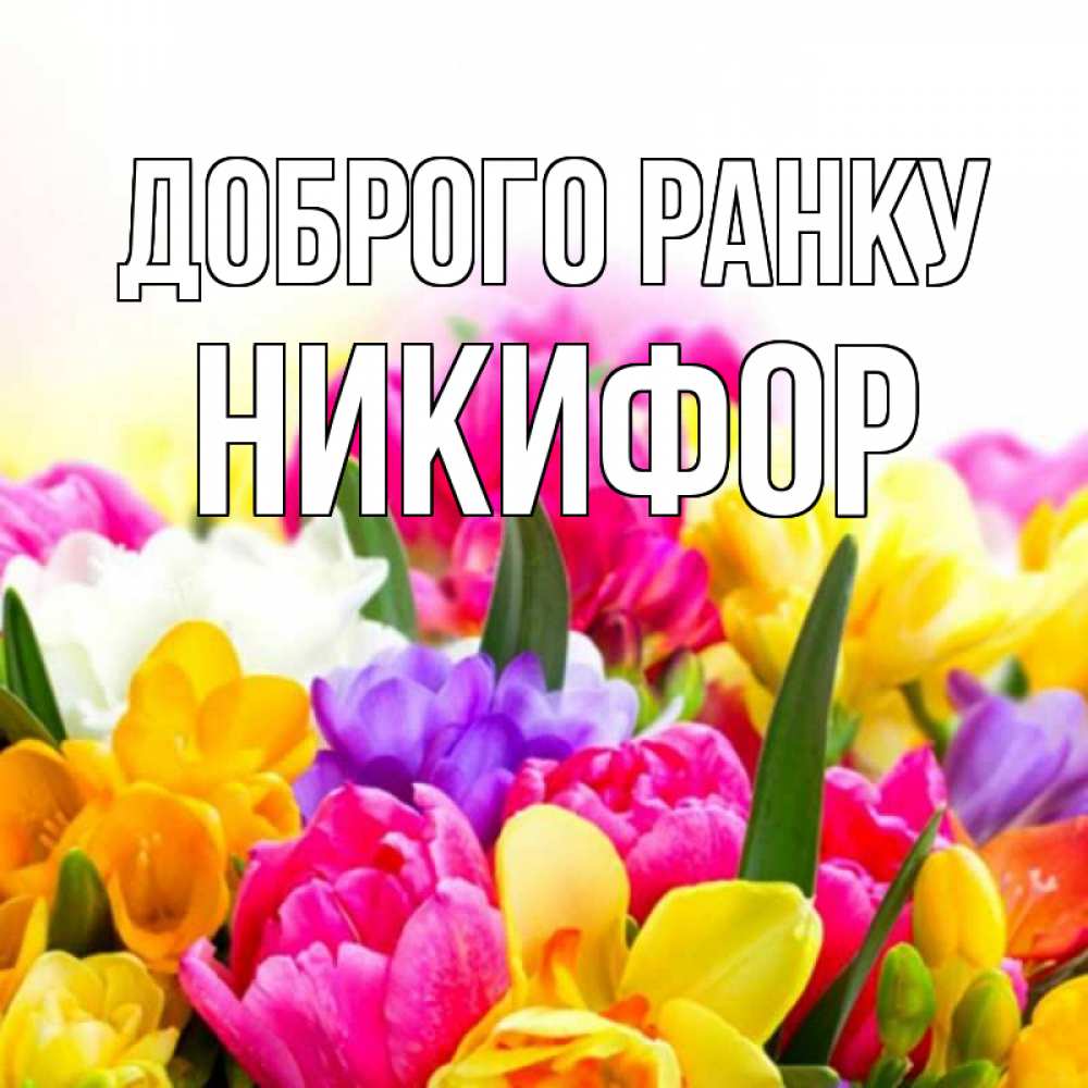 Открытка на каждый день з підписом, Никифор Доброго ранку создать открытку со свое подписью Прикольна листівка з побажанням онлайн скачати безкоштовно 