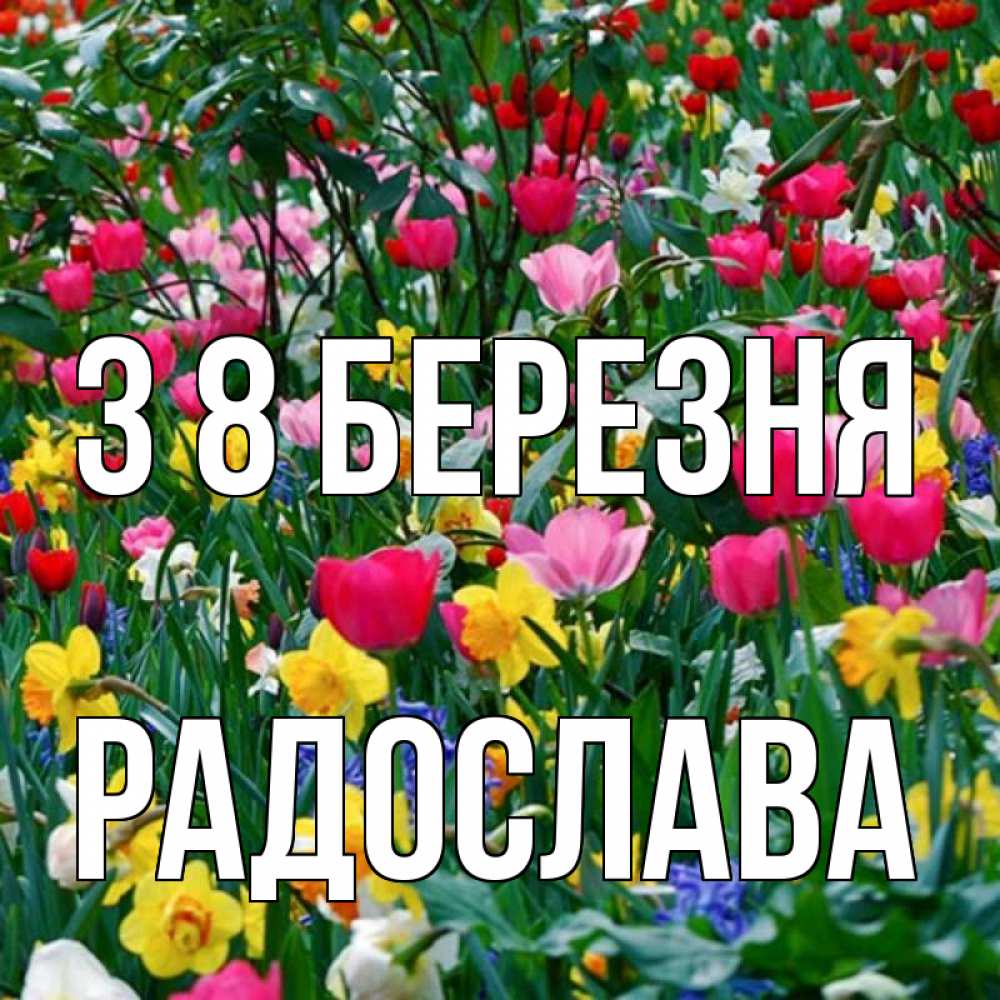 Открытка на каждый день з підписом, Радослава З 8 БЕРЕЗНЯ с международным женским днем поздравления для женщины Прикольна листівка з побажанням онлайн скачати безкоштовно 