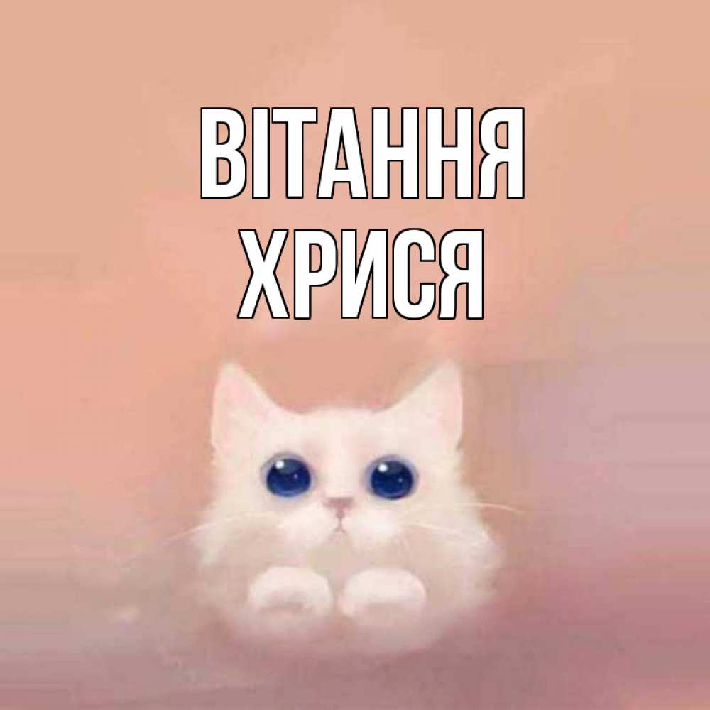 Открытка на каждый день з підписом, Хрися Вітання котик белый в полете Прикольна листівка з побажанням онлайн скачати безкоштовно 