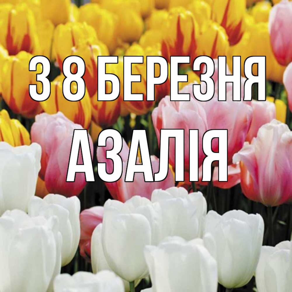 Открытка на каждый день з підписом, Азалія З 8 БЕРЕЗНЯ разноцветные цветы Прикольна листівка з побажанням онлайн скачати безкоштовно 