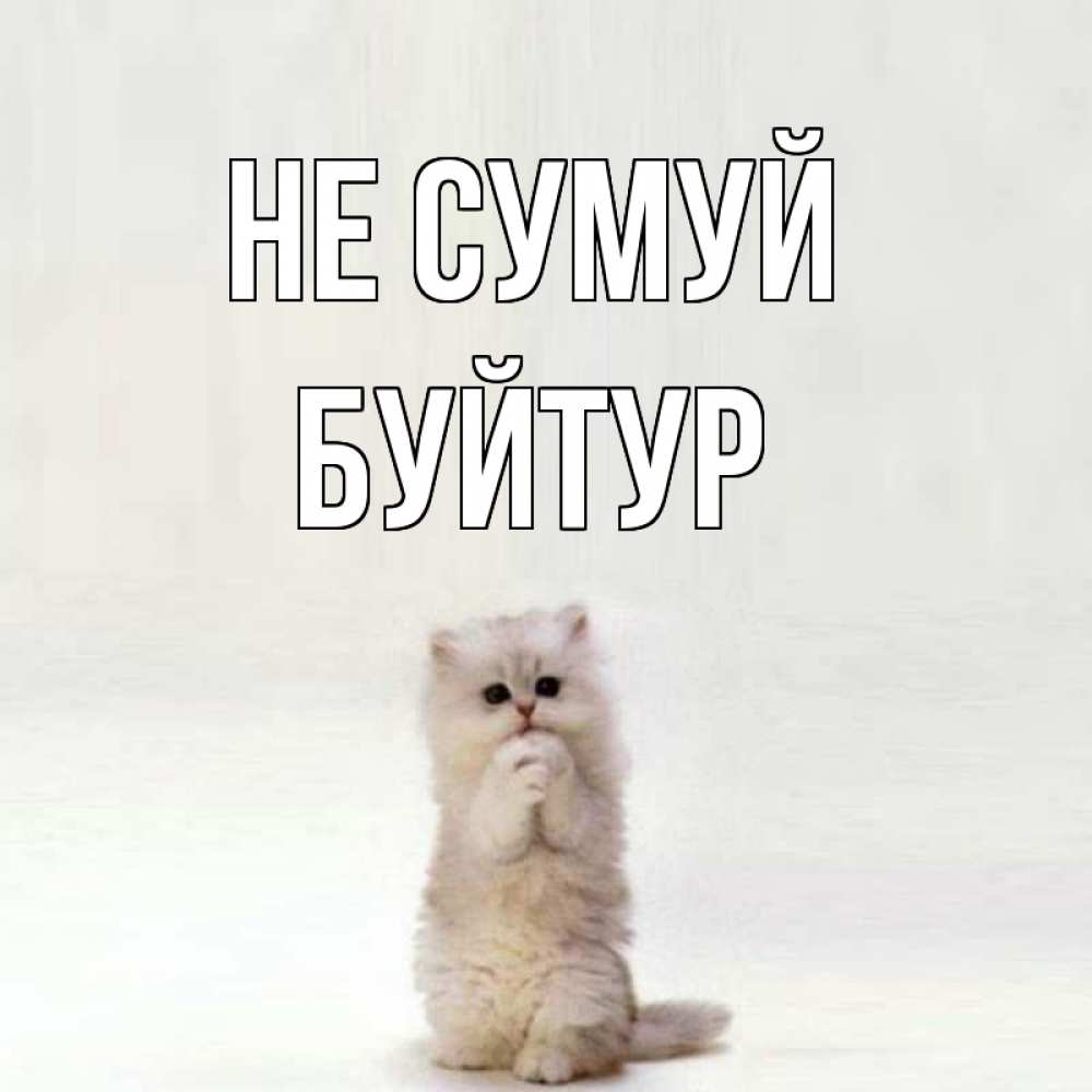 Открытка на каждый день з підписом, Буйтур Не сумуй грустный кот Прикольна листівка з побажанням онлайн скачати безкоштовно 
