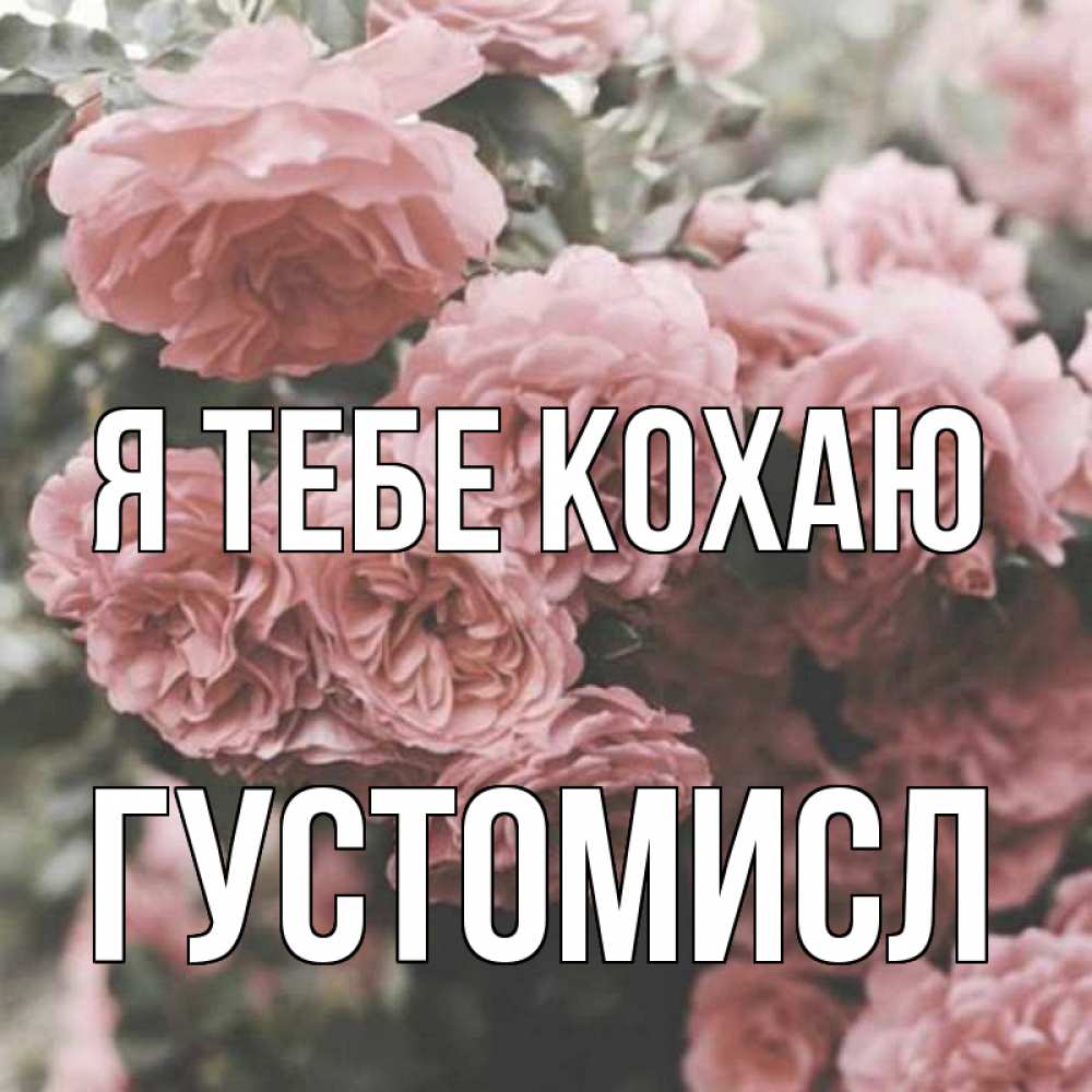 Открытка на каждый день з підписом, Густомисл Я тебе кохаю розы 3 Прикольна листівка з побажанням онлайн скачати безкоштовно 