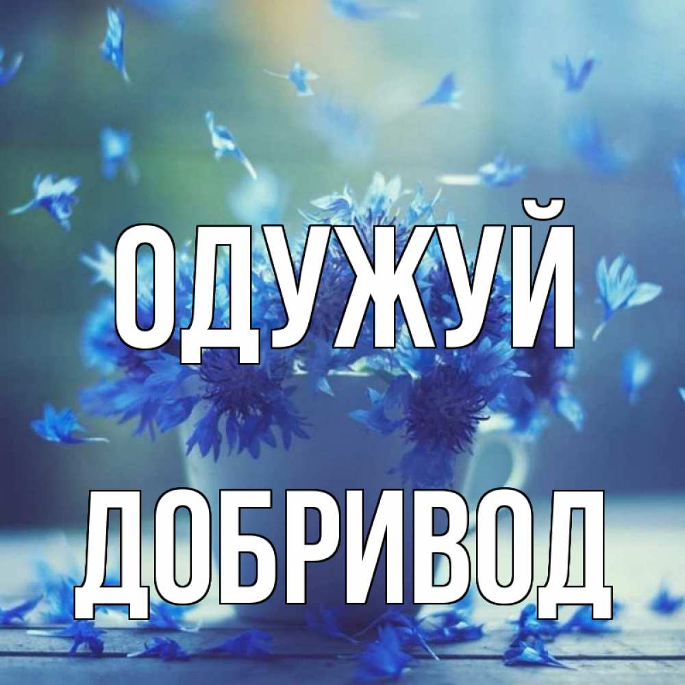 Открытка на каждый день з підписом, Добривод Одужуй кружка с зельем и цветами Прикольна листівка з побажанням онлайн скачати безкоштовно 