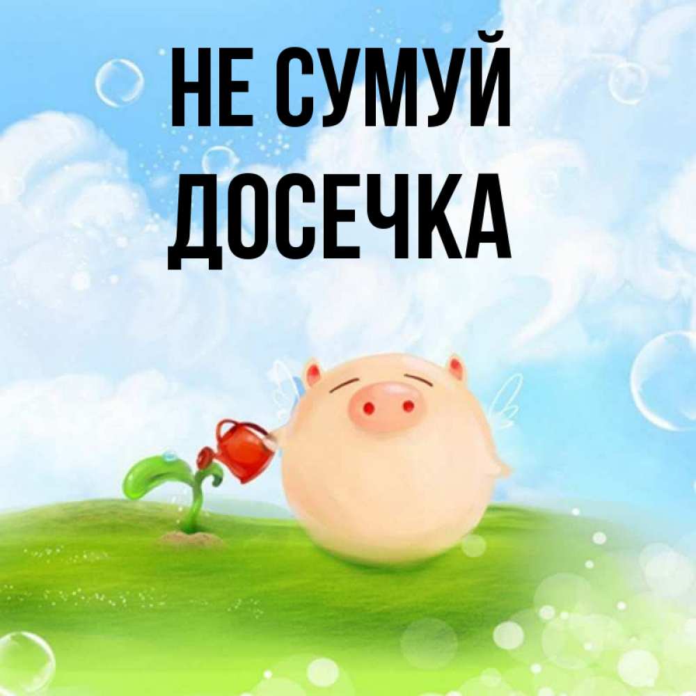Открытка на каждый день з підписом, Досечка Не сумуй поливает цветок порося Прикольна листівка з побажанням онлайн скачати безкоштовно 