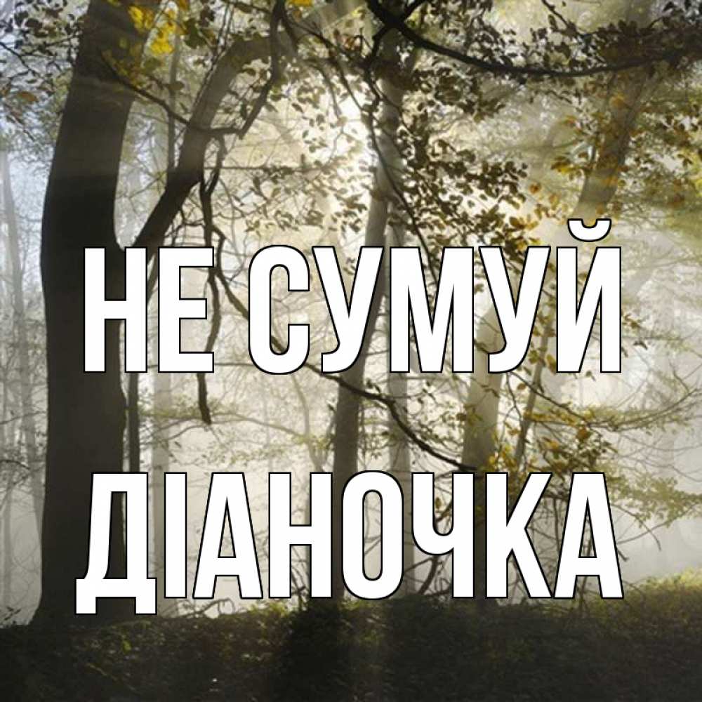 Открытка на каждый день з підписом, Діаночка Не сумуй лес и свет Прикольна листівка з побажанням онлайн скачати безкоштовно 