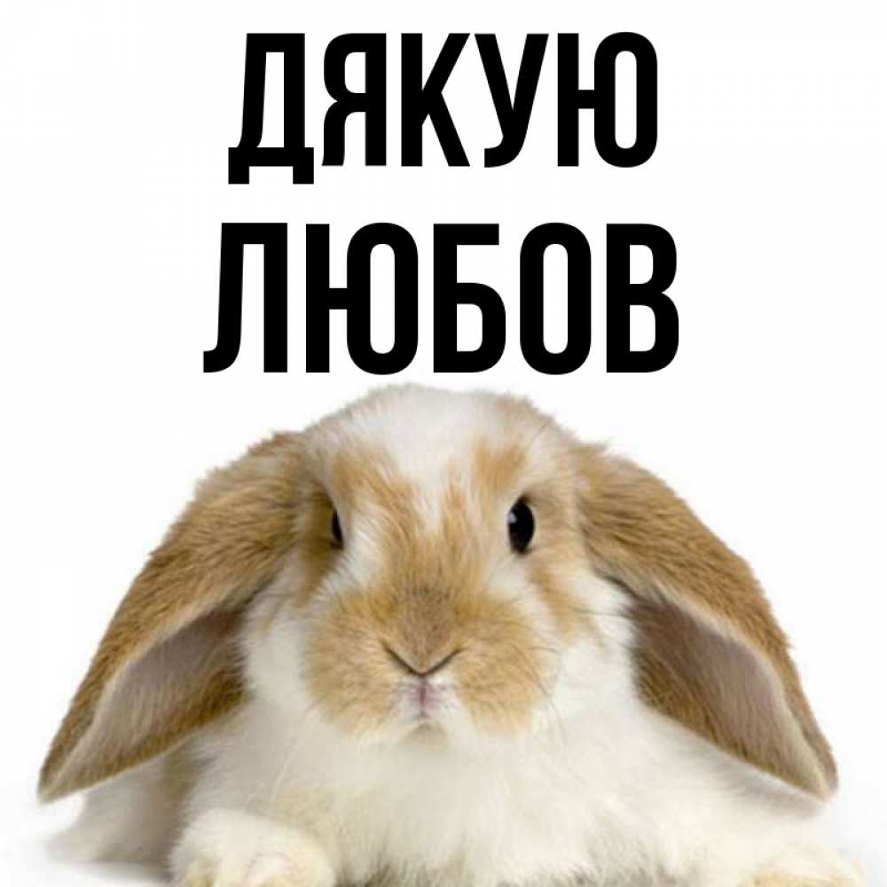 Открытка на каждый день з підписом, Любов Дякую коричнево белый заяц Прикольна листівка з побажанням онлайн скачати безкоштовно 