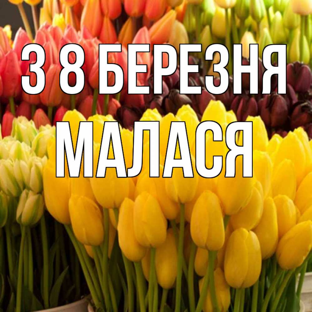 Открытка на каждый день з підписом, Малася З 8 БЕРЕЗНЯ цветы Прикольна листівка з побажанням онлайн скачати безкоштовно 