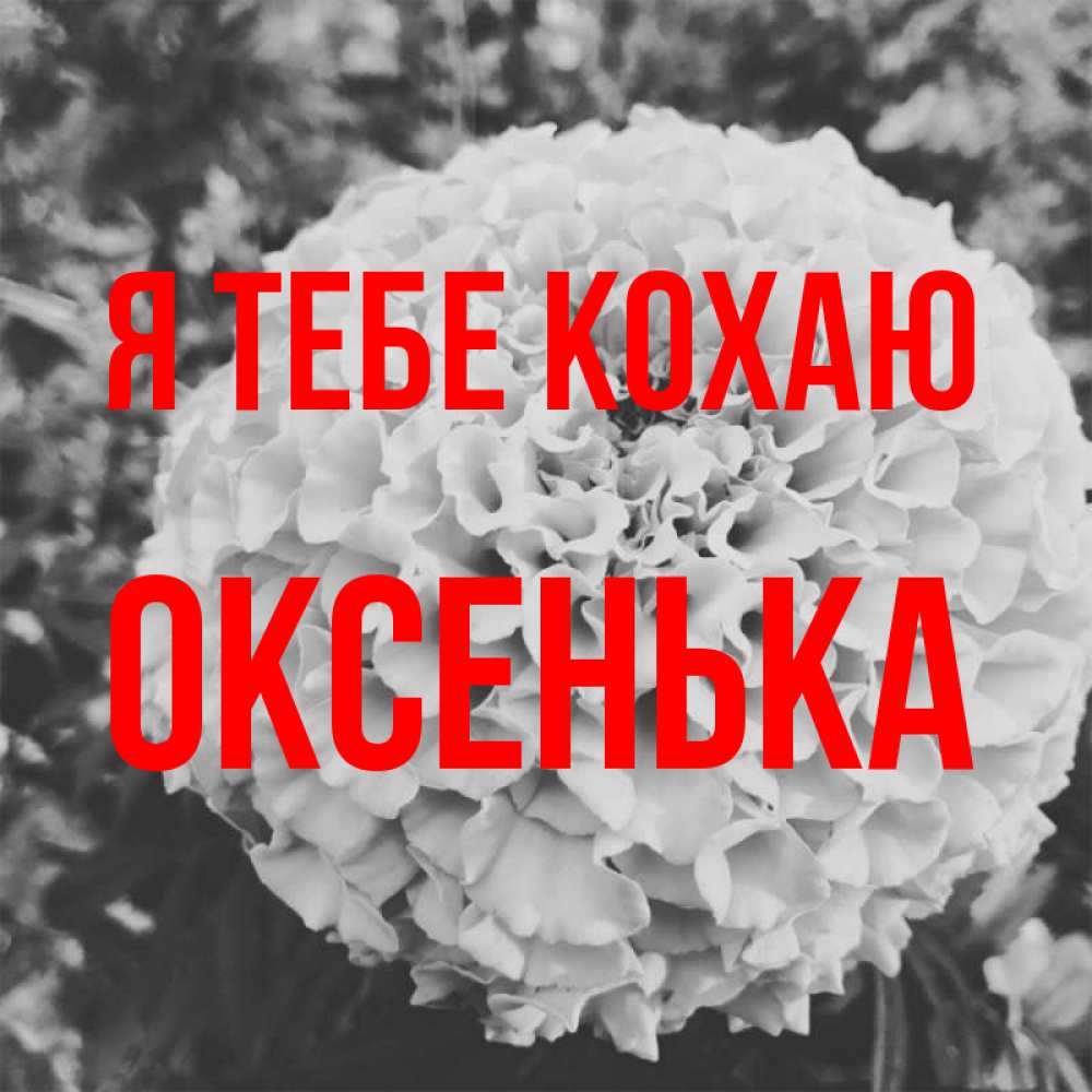 Открытка на каждый день з підписом, Оксенька Я тебе кохаю подпись Прикольна листівка з побажанням онлайн скачати безкоштовно 