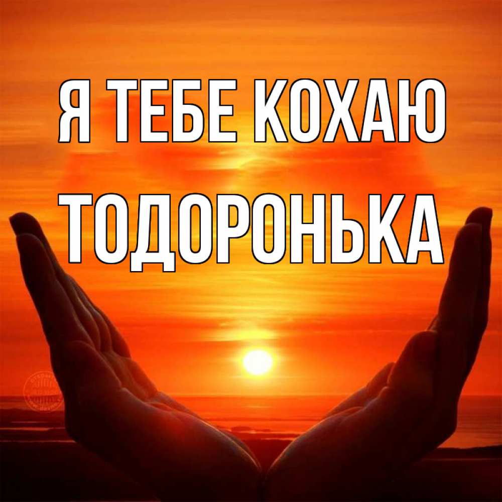 Открытка на каждый день з підписом, Тодоронька Я тебе кохаю в руках Прикольна листівка з побажанням онлайн скачати безкоштовно 