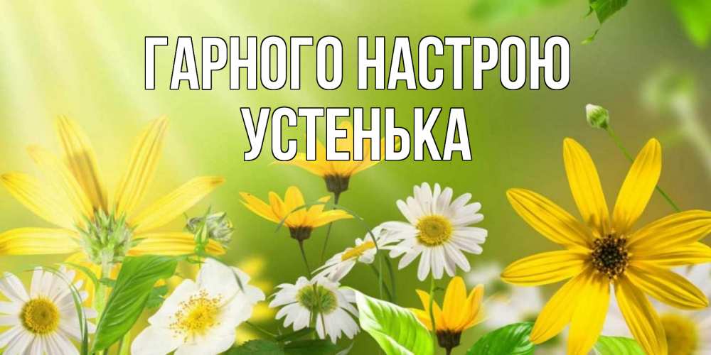 Открытка на каждый день з підписом, Устенька Гарного настрою цветы Прикольна листівка з побажанням онлайн скачати безкоштовно 