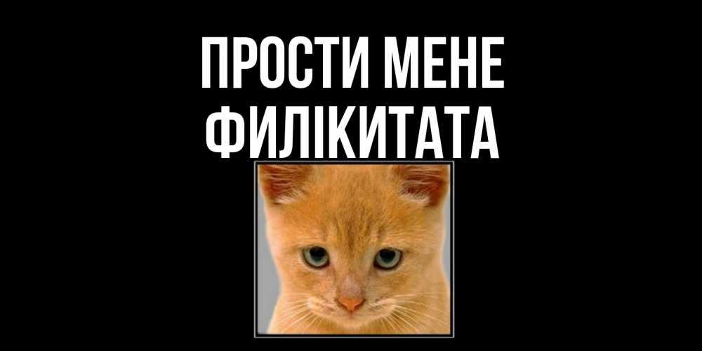 Открытка на каждый день з підписом, Филікитата Прости мене рыжий грустный кот просит прощения Прикольна листівка з побажанням онлайн скачати безкоштовно 