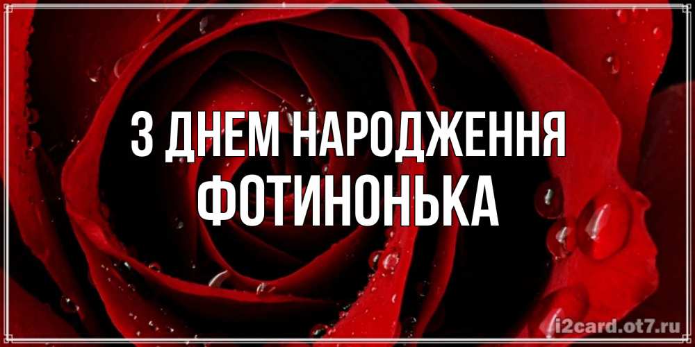 Открытка на каждый день з підписом, Фотинонька З Днем народження крупная бордовая роза Прикольна листівка з побажанням онлайн скачати безкоштовно 
